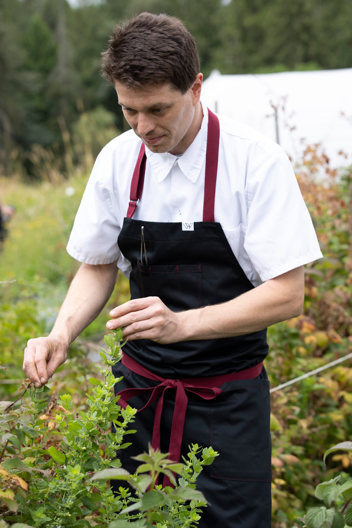VANCOUVER 110 COLOUR STITCH APRON